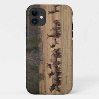Colorado Elk iPhone 5 11 Case