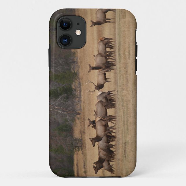 Colorado Elk iPhone 5 Case-Mate iPhone Case (Back)