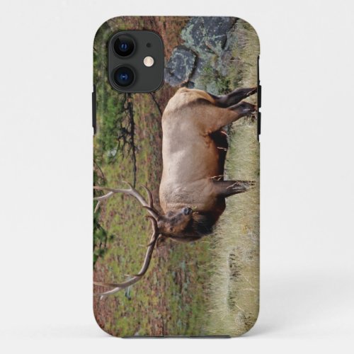 Colorado Elk iPhone 5 iPhone 11 Case