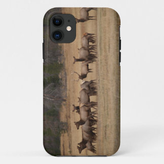 Colorado Elk iPhone 5 11 Case