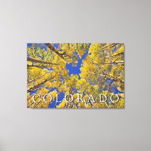 Colorado Fall Aspen Forest in Autumn Canvas Print