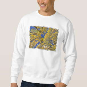 Colorado Fall Aspen Forest in Autumn Sweatshirt