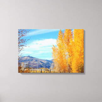 Colorado Fall Vista Wrapped Canvas Print