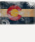Colorado Flag