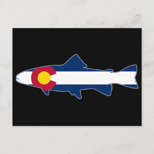 Colorado Flag Trout Fish Postcard