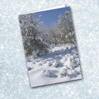 Colorado Forest Beauty Christmas Card
