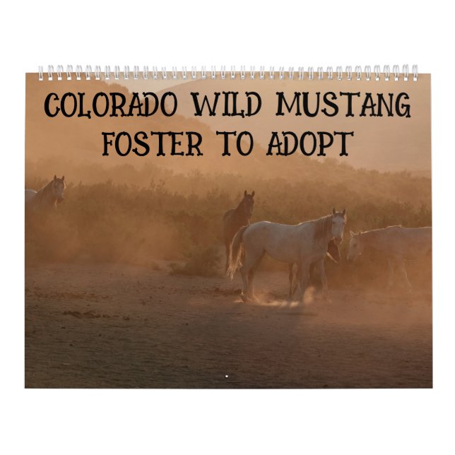 Colorado Foster to Adopt Calendar (Cover)