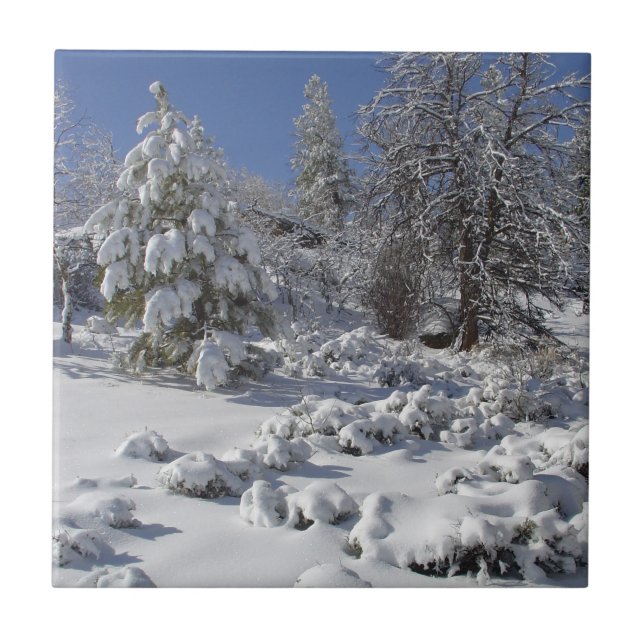 Colorado High Country Winter Tile (Front)