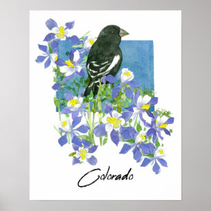Colorado Lark Bunting Columbine Mountain Flowers Poster