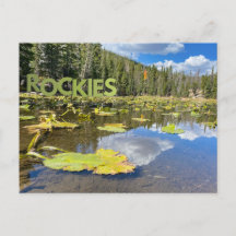 Colorado Lily Pad Rocky Mountains Lake Postcard