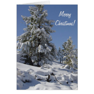 Colorado Mountain Snow Christmas Card