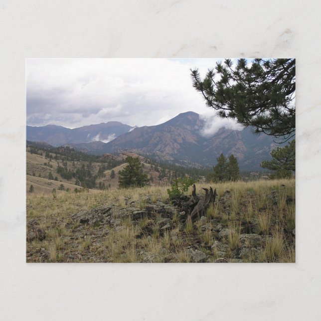 Colorado Mountains Postcard (Front)