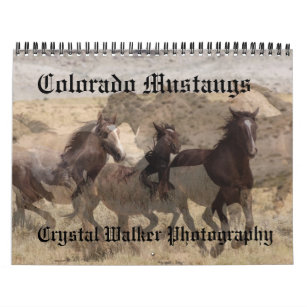 Colorado Mustangs Calendar