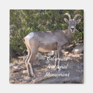 Colorado National Monument Magnet