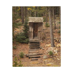 Colorado Outhouse at St. Elmo Ghost Town Photo Wood Wall Art