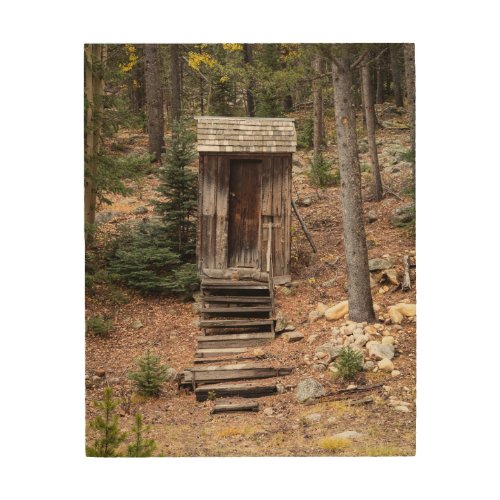 Colorado Outhouse at St Elmo Ghost Town Photo Wood Wall Art