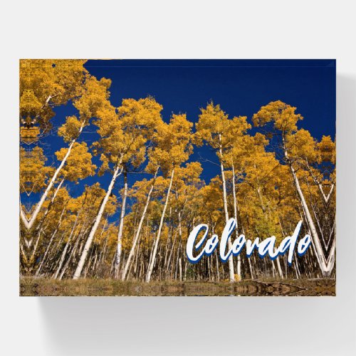 Colorado Paperweight Souvenir Gift Aspen Trees
