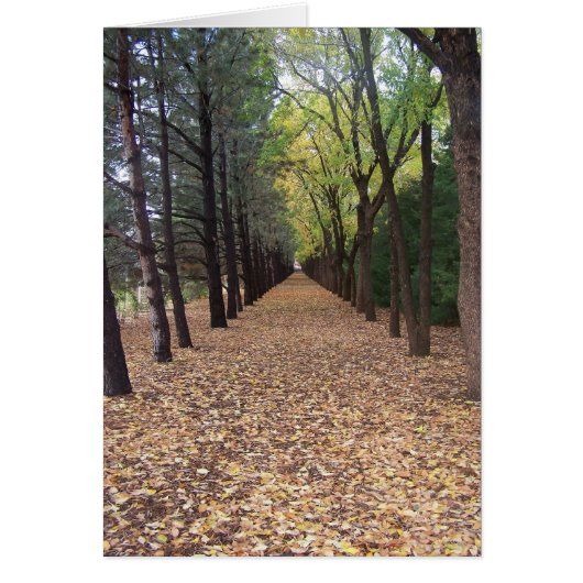 Colorado path (Front)