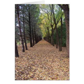 Colorado path cards
