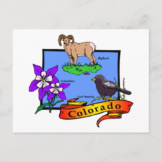 Colorado Postcard (Front)