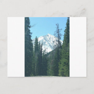 COLORADO POSTCARD
