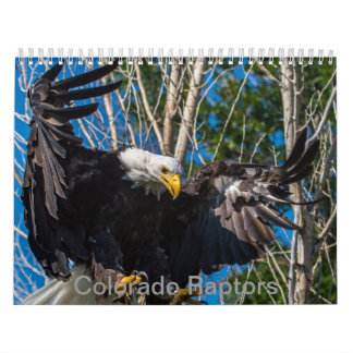 Colorado Raptor Calendar
