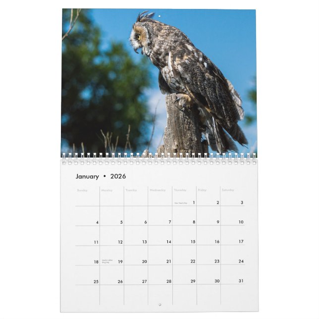 Colorado Raptor Calendar (Jan 2026)