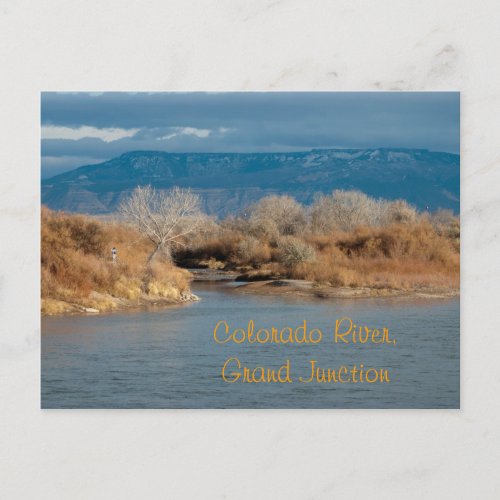 Colorado RiverGrand Junction Postcard
