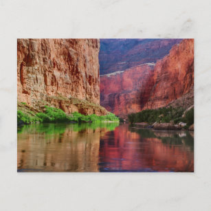 Colorado river in Grand Canyon, AZ Postcard