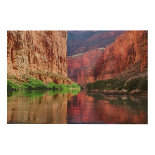Colorado river in Grand Canyon, AZ Wood Wall Art