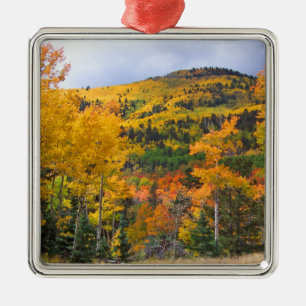 Colorado Rocky Mountains Aspen Trees Metal Ornament