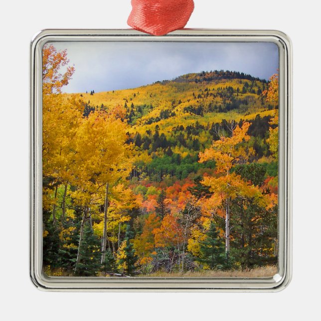 Colorado Rocky Mountains Aspen Trees Metal Ornament (Front)