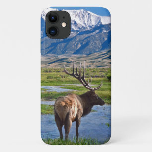 Colorado Rocky Mountains Elk iPhone 11 Case