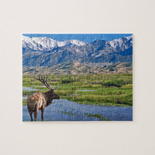 Colorado Rocky Mountains Elk Jigsaw Puzzle