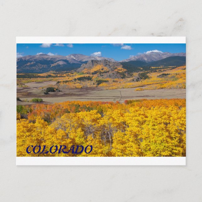 Colorado Scenic Foliage Postcard (Front)
