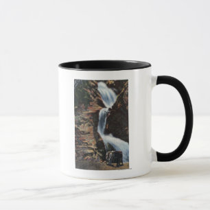Colorado Springs, CO - Lower Three of Seven Falls Mug