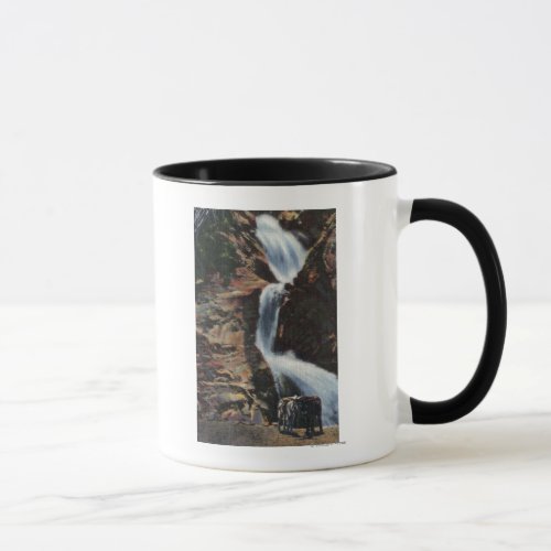 Colorado Springs CO _ Lower Three of Seven Falls Mug