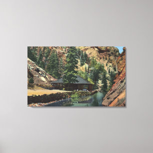 Colorado Springs, CO - Trout Canvas Print