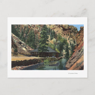 Colorado Springs, CO - Trout Postcard