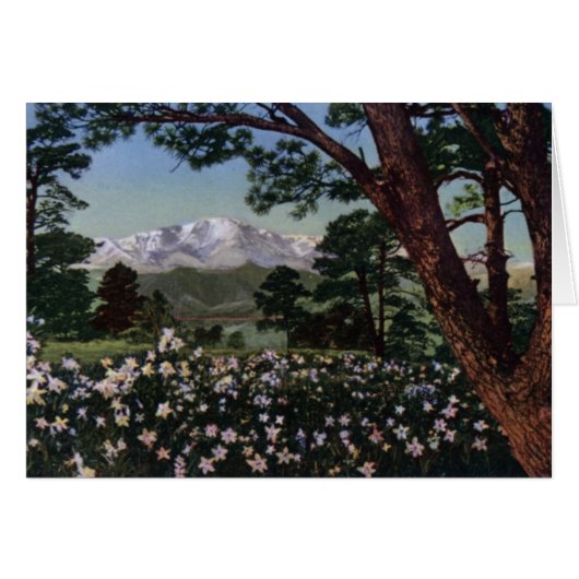 Colorado Springs Colorado Pikes Peak in Spring (Front Horizontal)