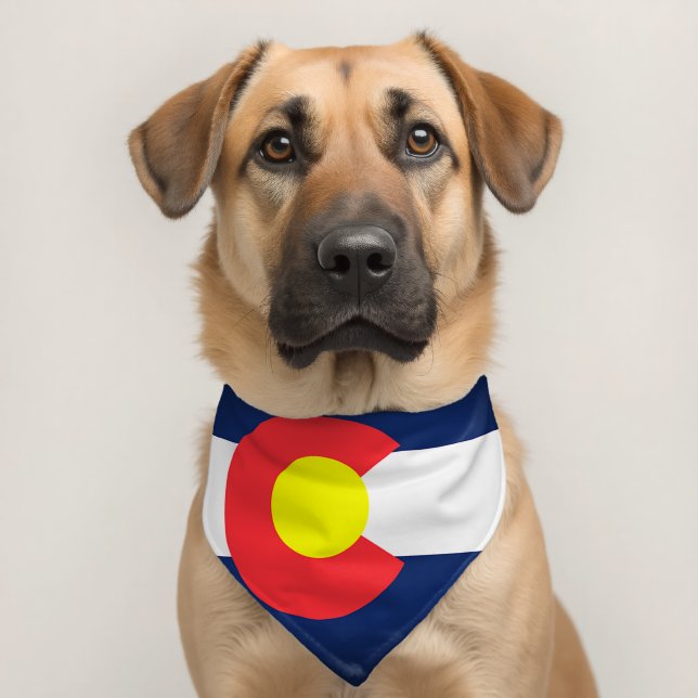 Colorado State Flag Pet Dog Bandana  Collar (Dog 2)