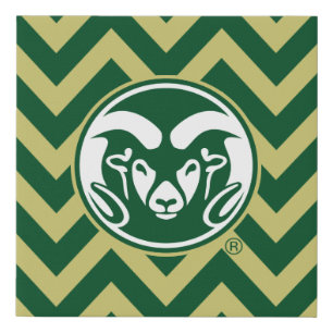 Colorado State University Chevron Pattern Faux Canvas Print