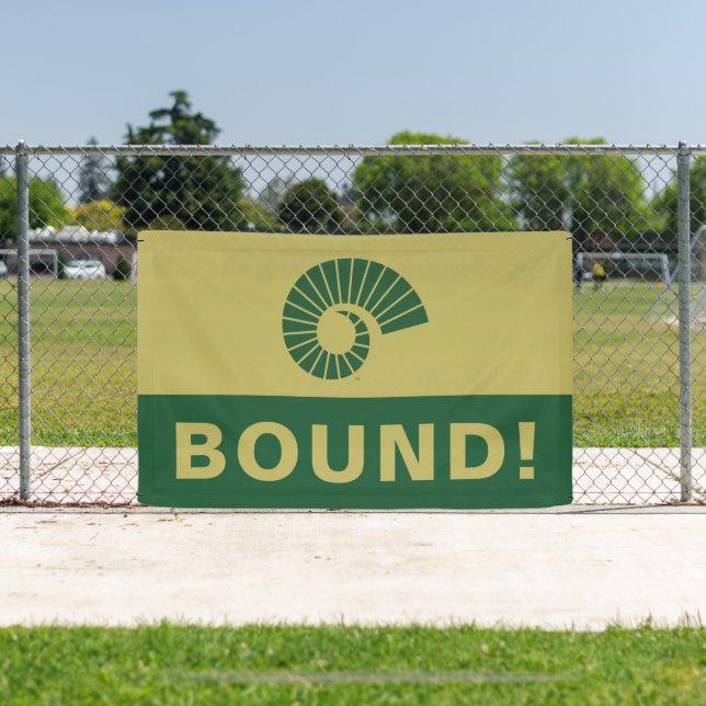 Colorado State University | College Bound Banner (Insitu)