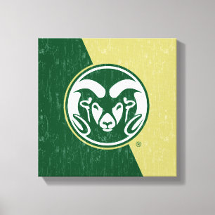 Colorado State University Color Block Distressed Canvas Print