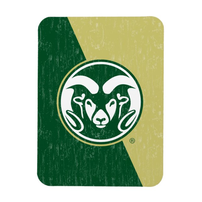 Colorado State University Color Block Distressed Magnet (Vertical)