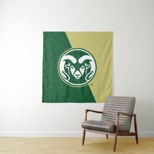 Colorado State University Color Block Distressed Tapestry