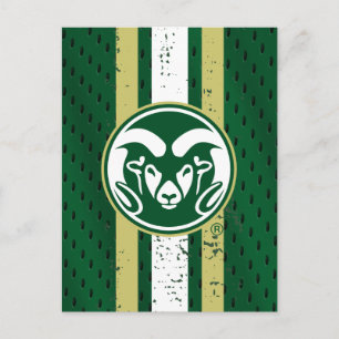 Colorado State University Logo Jersey Postcard