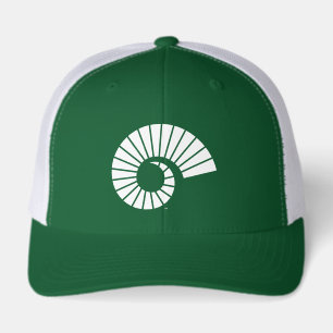 Colorado State University Ram Horn