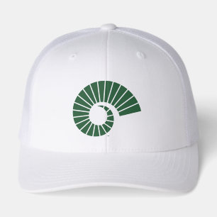 Colorado State University Ram Horn