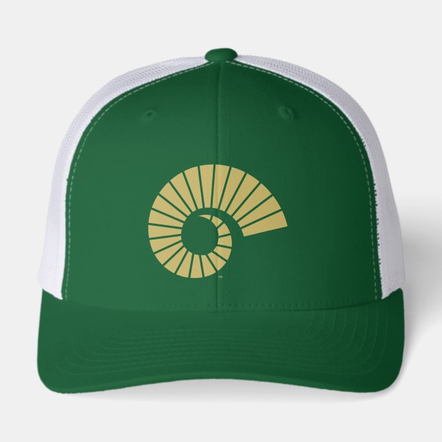 Colorado State University Ram Horn 3 (Front)